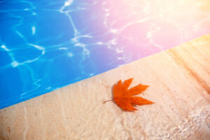 Herbstblatt das im blauen Wasser eines Swimmingpools schwimmt